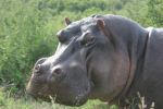safrica_dec_13_image80.jpg